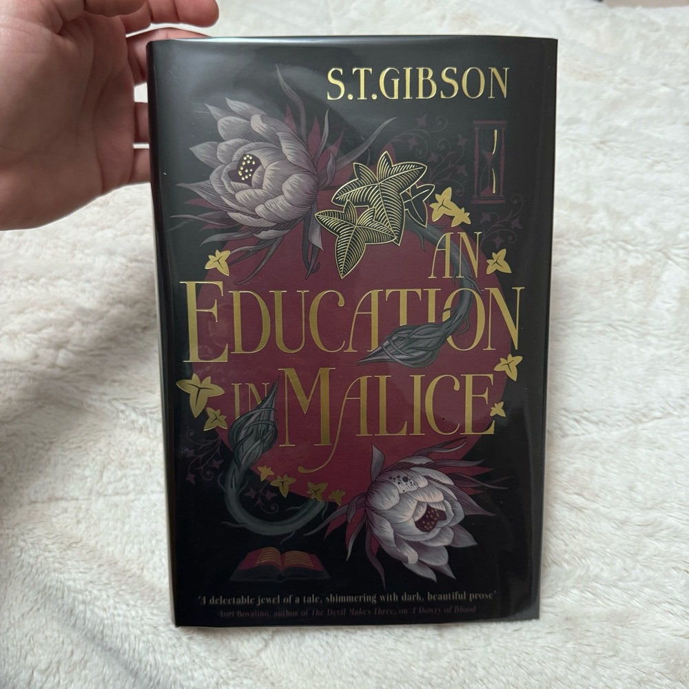🧚 Fairyloot An Education in Malice by S T Gibson